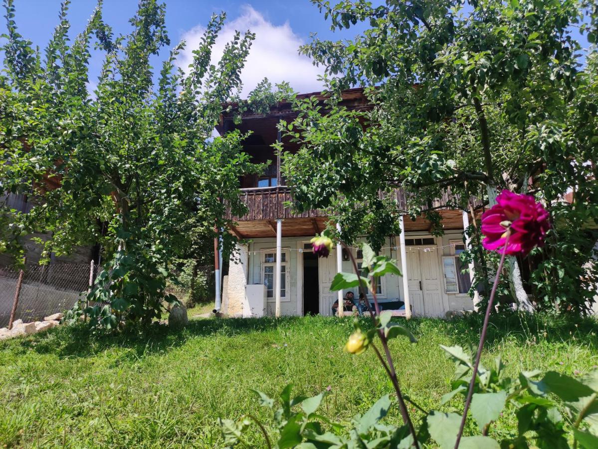 Racha Chogovadze'S Guest House Ambrolauri Exterior foto